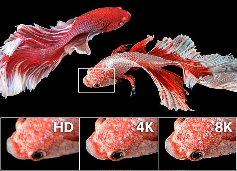 4k_8k_visual_explanation_of_pixel_differences_850x615.jpg