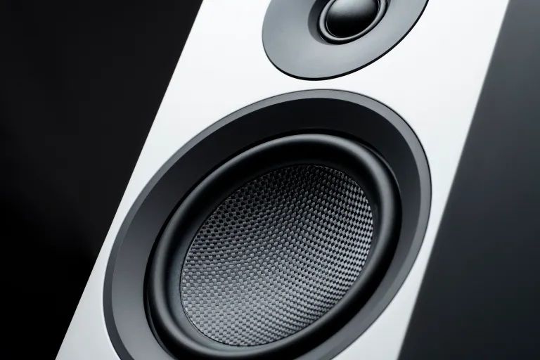 speaker_box_5_e_carbon_detail_woofer.jpg