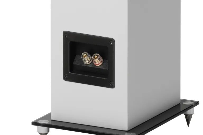 speaker_box_10_e_carbon_white_detail_terminals.jpg