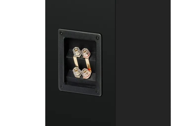 speaker_box_12_e_carbon_black_detail_terminals.jpg