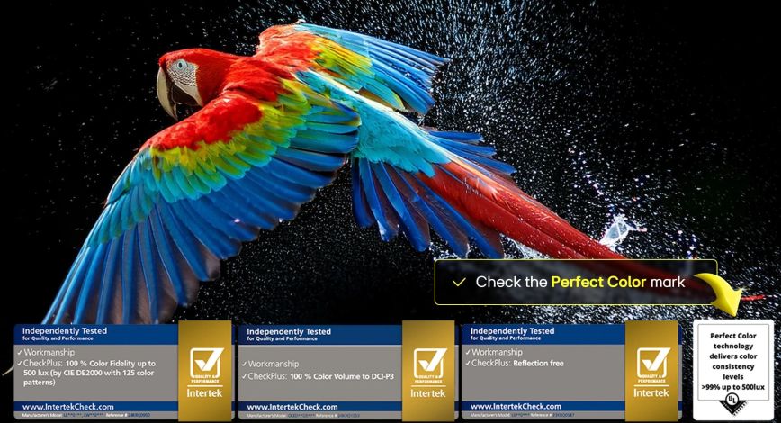 oled_g5_2025_06_feature_perfect_color_d.jpg