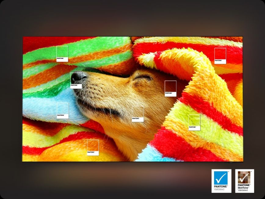 se_feature_enjoy_a_full_range_of_authentic_colors_545729778.jpg
