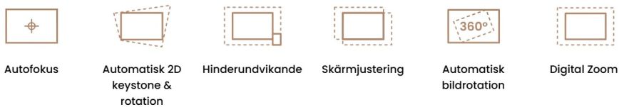 gv32_10.jpg
