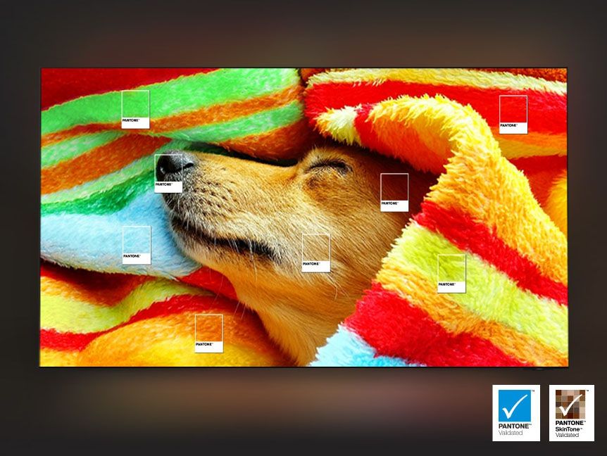 se_feature_enjoy_authentic_color_validated_by_pantone_only_on_samsung_screens_551963564.jpg