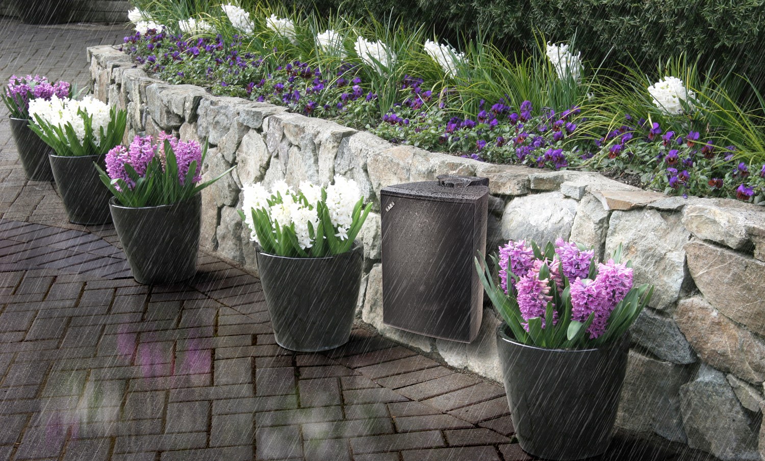 patio_compv9.jpg