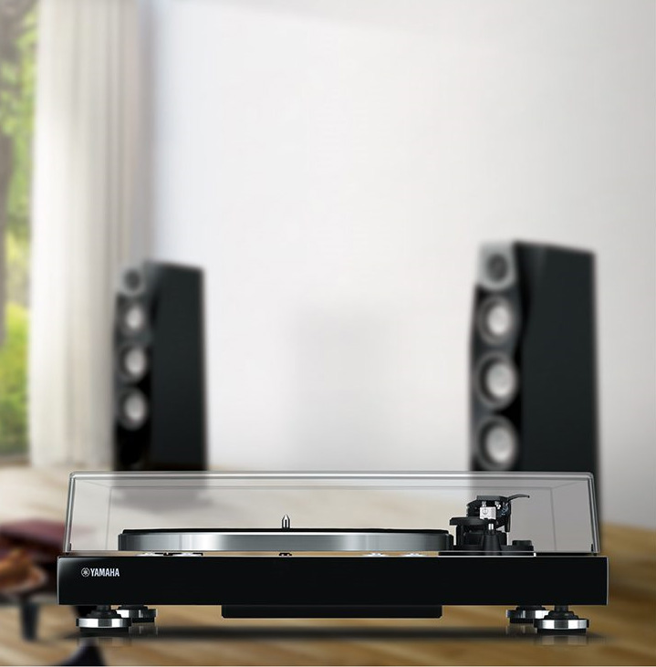 muisccastvinyl500_2.jpg