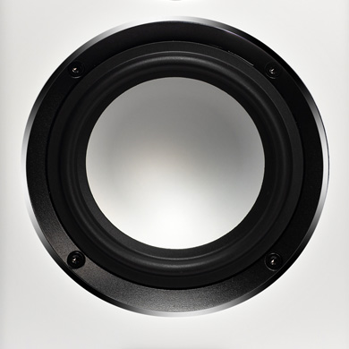 compound_curvature_woofer_feature_image_390.jpg