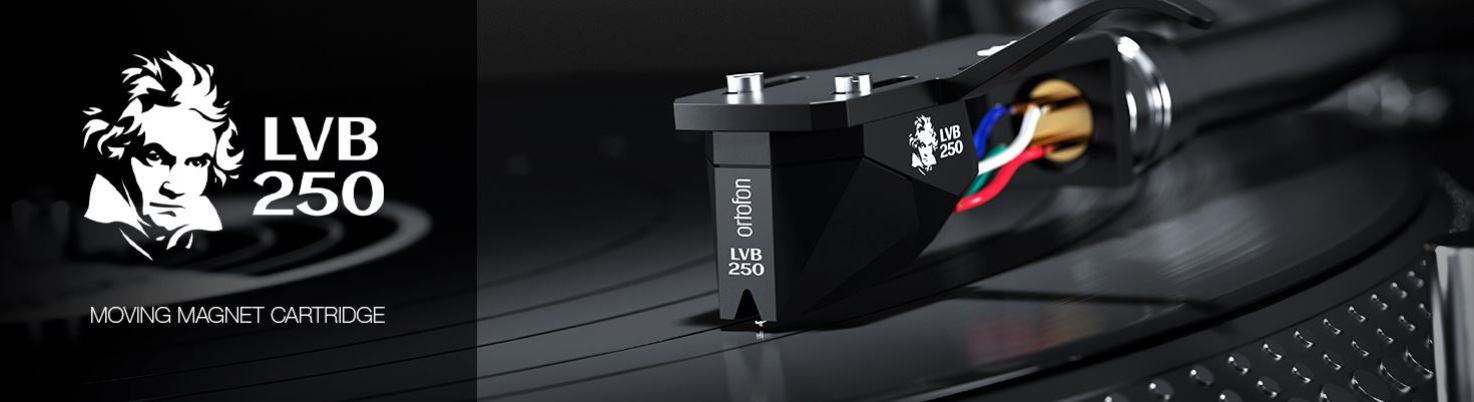 2m_black_lvb_1.jpg
