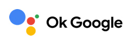 ok_google_1.jpg