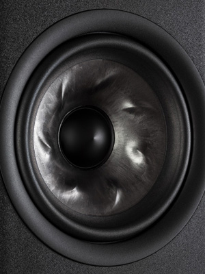 rerseve_turbine_woofer_3.jpg