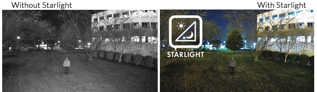 lum_310_ip_starlight.jpg