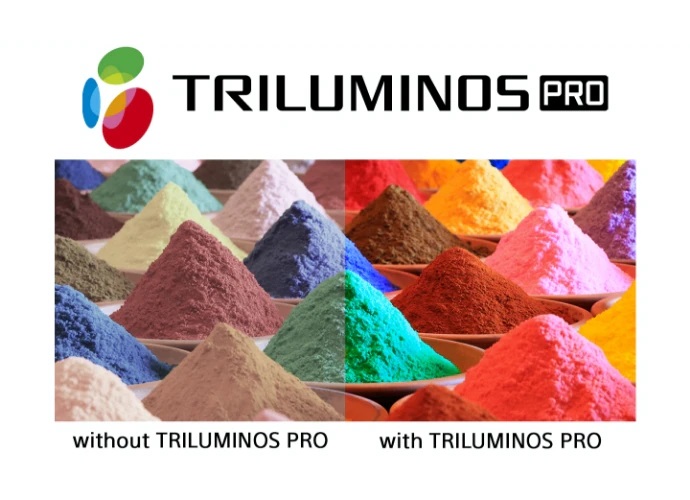 vpl_xw5000es_hero_product_page_even_more_true_to_life_colours_690_wide.jpg