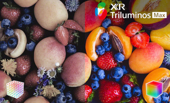 xr_trilominosmax_1.jpg