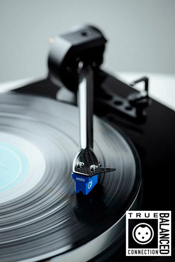 x8_13_350.jpg