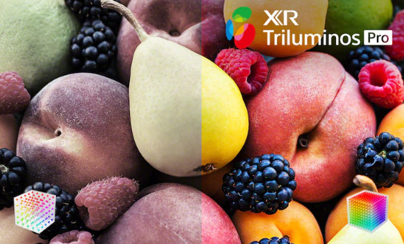 xr_triluminospro_1.jpg