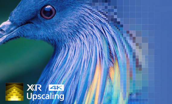xr_4k_upscaling_1.jpg