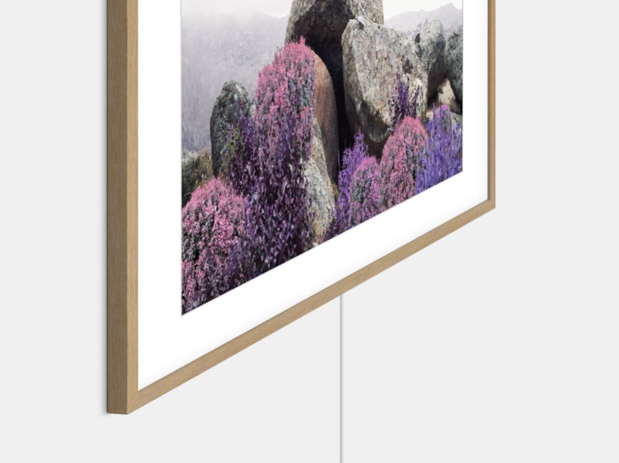the_frame_01.jpg