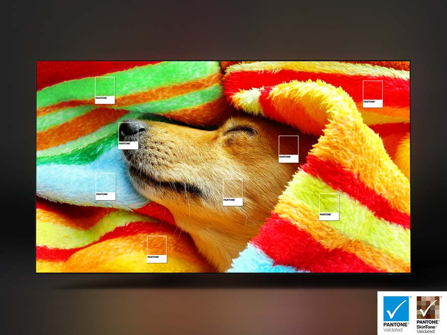 se_feature_pantone_validated_535574122.jpg