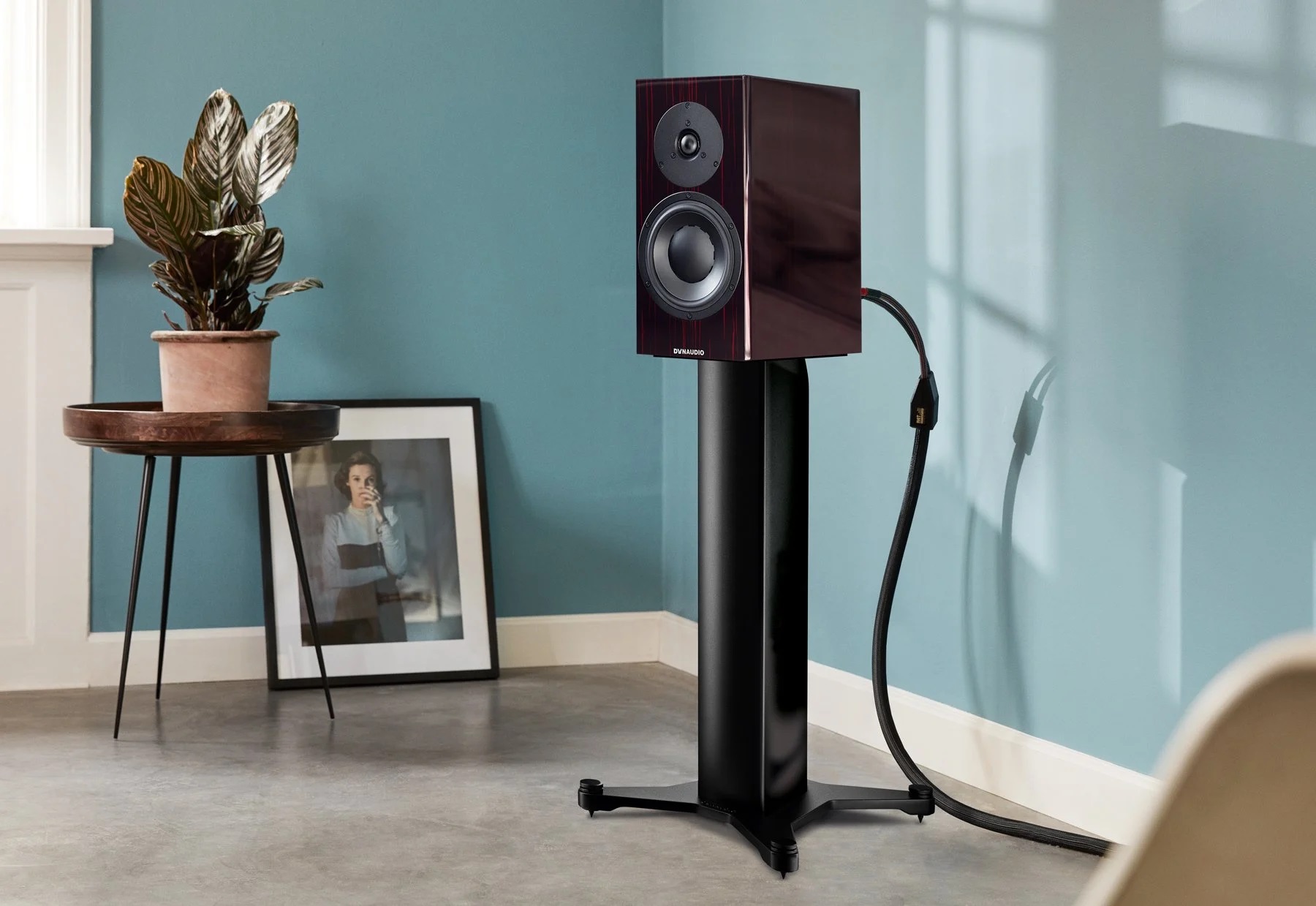 dynaudio_special_forty_blackvine_2_stand20.jpg