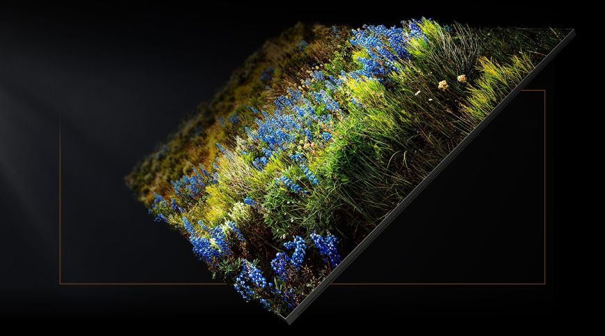 se_feature_micro_color_454479158.jpg