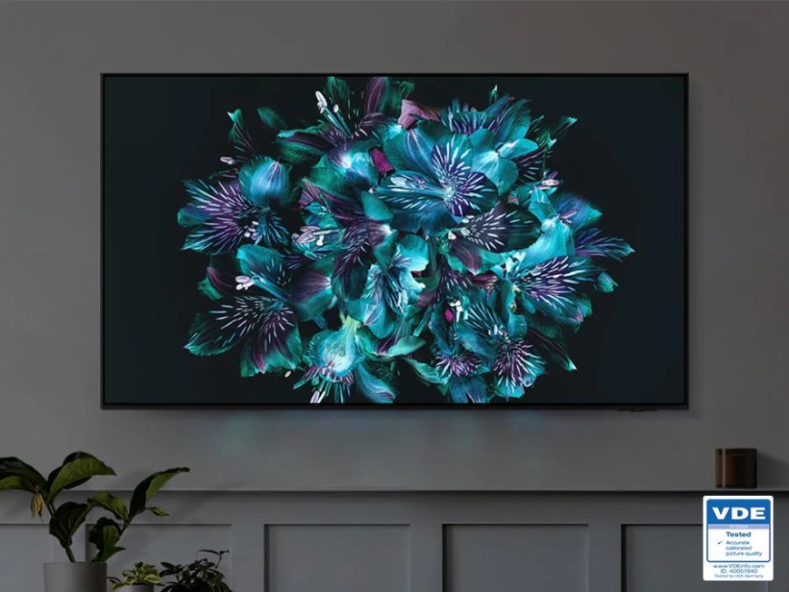 se_feature_oled_tv_541135823.jpg