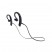 Sony MDR-XB80BS