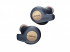 Jabra Elite Active 65t