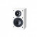 Paradigm Monitor SE Atom