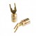 Supra COMBICON SPADE M6 2-PAIR RÖD/SVART