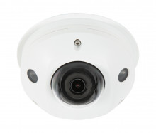 Surveillance™ 310 Series Dome IP Outdoor Camera