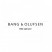 Bang & Olufsen BeoSound 5 Väggbeslag extended