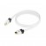 Real Cable Moniteur HDMI-1